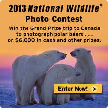 Enter the 2013 photo contest today!